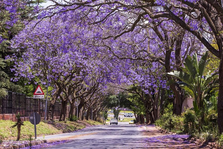 Health and safety at chrome processing operation